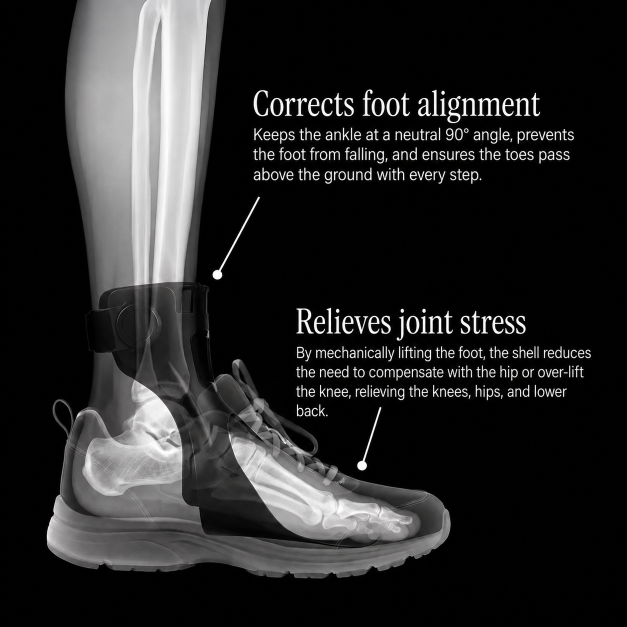 Anti-Fall Splint